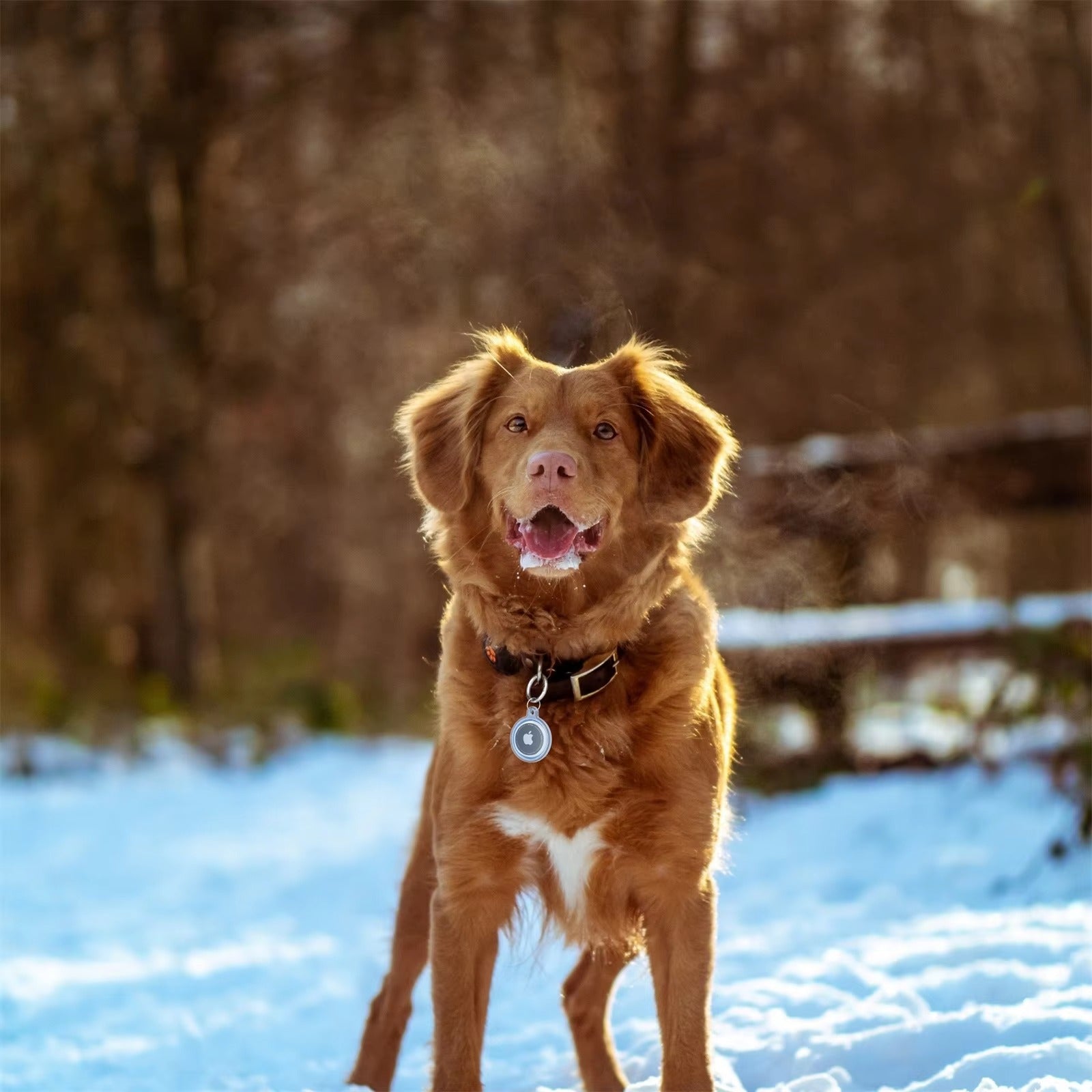 Premium Transparent Waterproof TPU AirTag Case – Full Protective Shell with Anti-Lost Keychain, Shockproof Pet Collar Tracker Cover